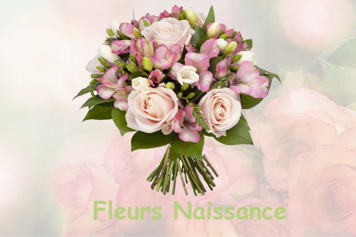 fleurs naissance SAINT-HILAIRE-DE-BEAUVOIR